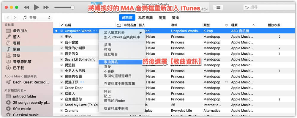查看歌曲資訊