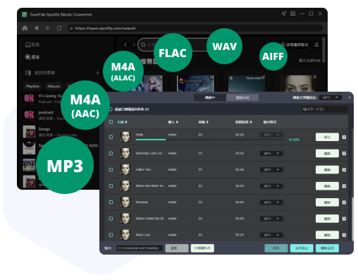 Embedded Spotify Web Player with Auto Playlist Analysis